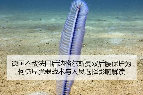 德国不敌法国后纳格尔斯曼双后腰保护为何仍显脆弱战术与人员选择影响解读